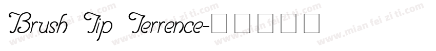 Brush Tip Terrence字体转换